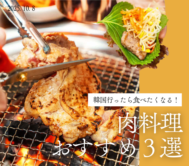 SM ENTERTAINMENT ファンクラブ特典カード SEVENTEEN ファンクラブ FC更新特典トレカウォヌ ピクチャー