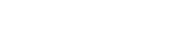 PIVIm